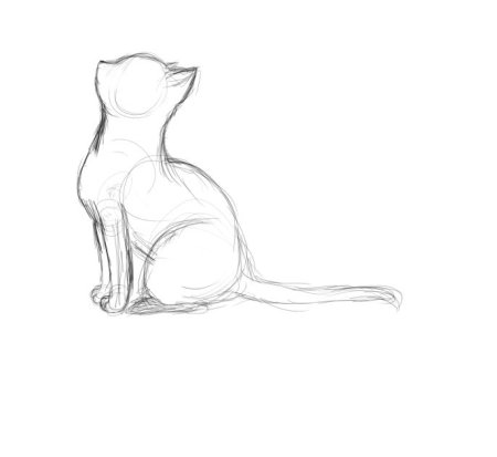 Нарисовать сидящего кота