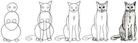 Кошка сидит рисунок карандашом