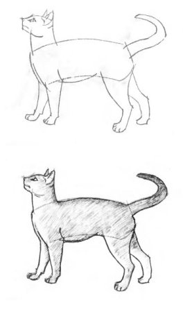 Кот сбоку рисунок