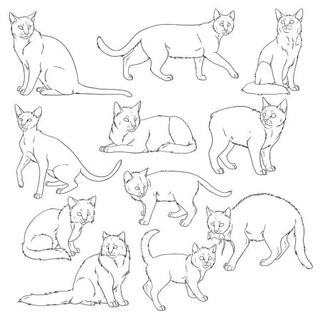 Кошка сбоку референс
