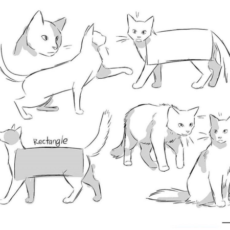 Коты Воители позы референс