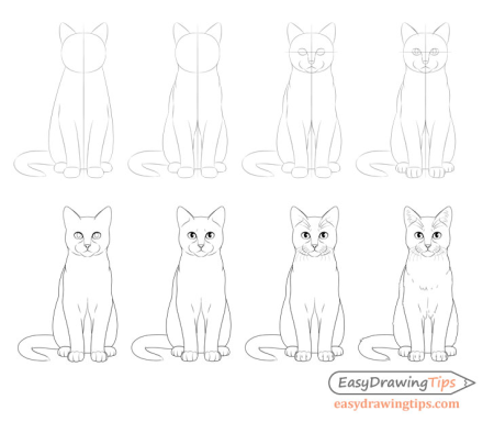 Кошка сидит рисунок