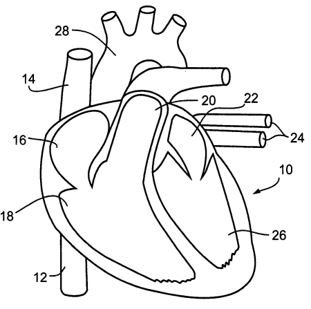 Человеческое сердце рисунок поэтапно (46 фото)