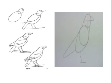 Рисунок к басне ворона и лисица