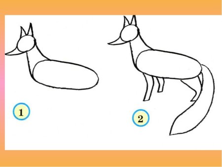 Белка рисунок сбоку хвост белки