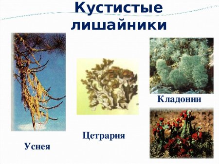 Схема рисования пейзажа