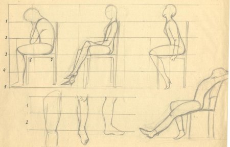 Пропорции сидящего человека