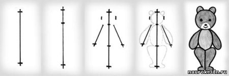 Схема рисования медведя в средней группе