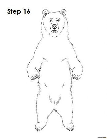 Медведь из Маши и медведя раскраска