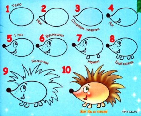 Поэтапное рисование ежика