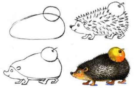 Ежик с яблоком раскраска для детей