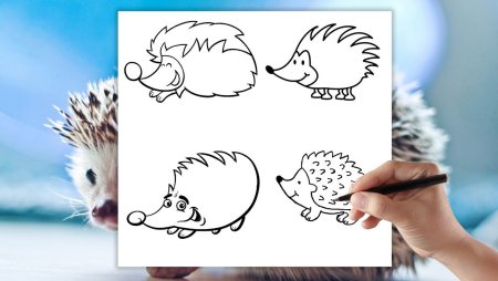 Поэтапное рисование ежа