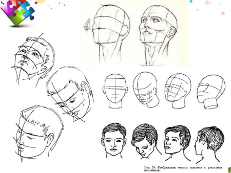 Схема построения головы сбоку