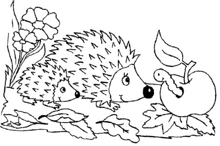 Семья ежиков раскраска