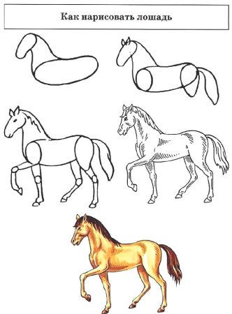 Схема рисования лошади в подготовительной группе
