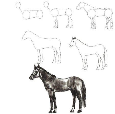 Поэтапные рисунки для детей