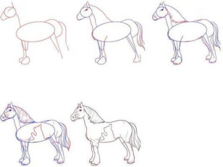 Этапы рисования лошади для детей