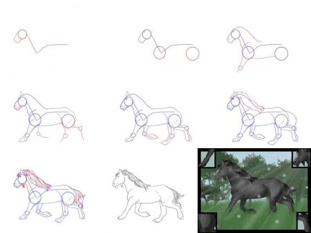 Поэтапное рисование коня