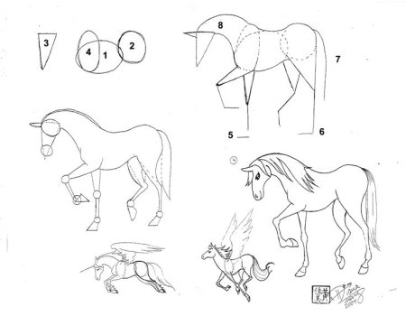 Как нарисовать лошадь поэтапно