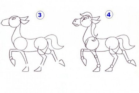Пропорции лошади для рисования