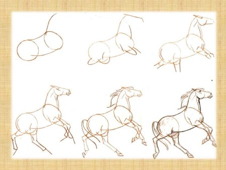 Схемы рисования для дошкольников