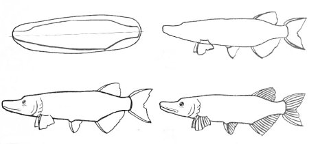 Легкий рисунок щуки