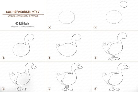 Нарисовать утку
