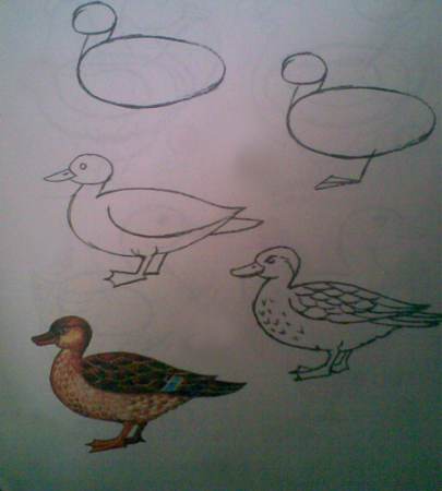 Рисование с детьми перелетные птицы