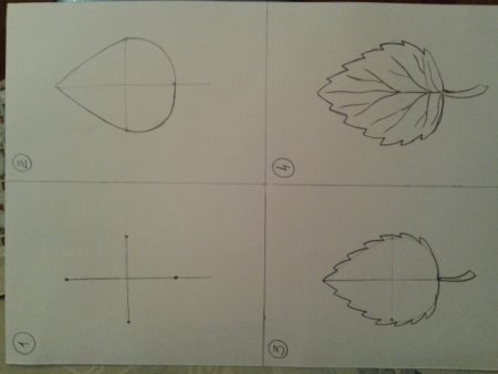 Пошаговое рисование листьев