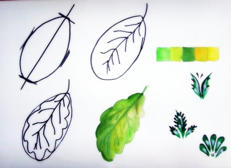 Поэтапное рисование листа березы