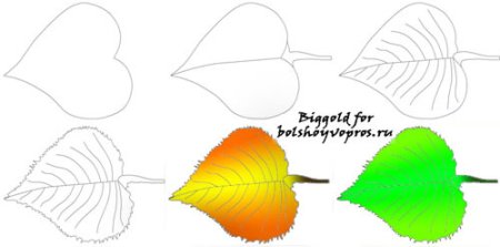 Этапы рисования листьев