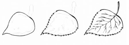 Как рисовать лист березы