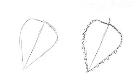 Поэтапное рисование листа