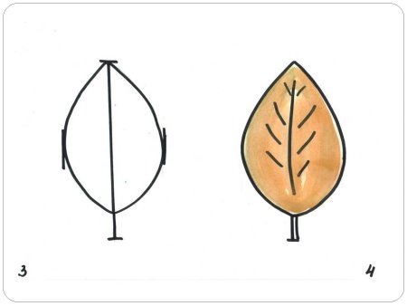 Рисование с натуры осенние листья