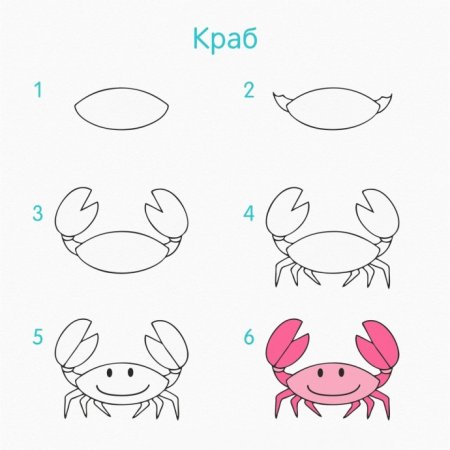 Пошаговое рисование морских обитателей для детей