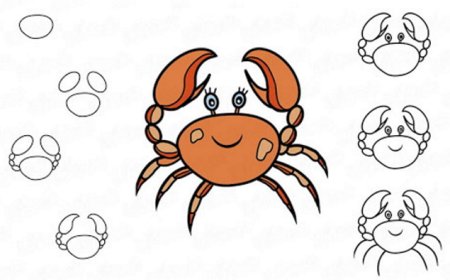 Поэтапный рисунок рака.