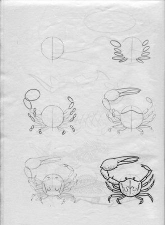 Постепенное рисование краб