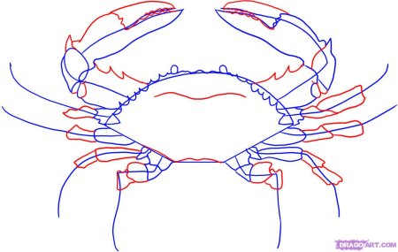 Рисование краба пошагово