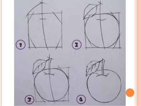 Поэтапное рисование яблока и груши