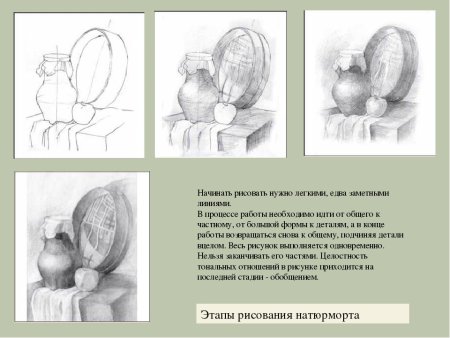 Этапы работы над рисунком натюрморта