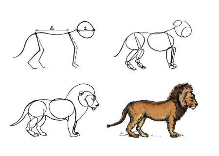 Лев рисование для детей