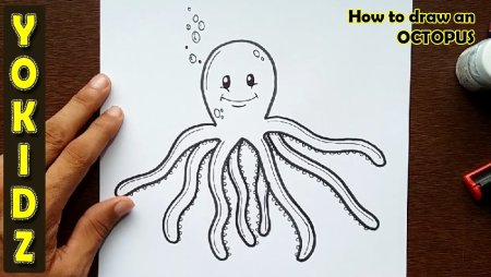 Octopus how to draw