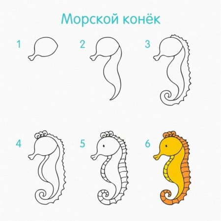 Поэтапное рисование морских обитателей для детей