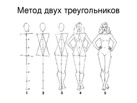 Схема построения фигуры человека пропорции