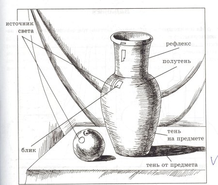Этапы рисования натюрморта