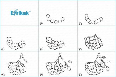 Кисть Рябинки гроздь Калинки рисование