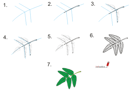 Ветка рябины без ягод для рисования