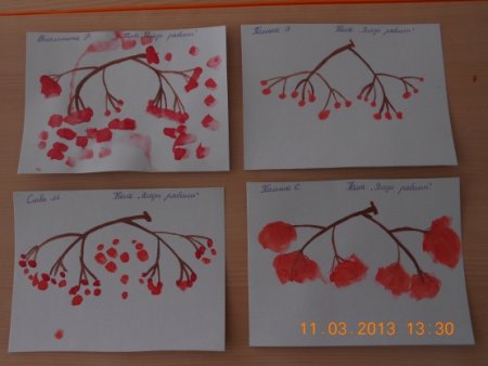 Рябина рисунок карандашом