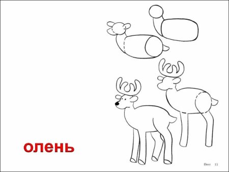 Схема рисования оленя для детей
