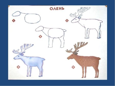 Рисование оленя в подготовительной группе